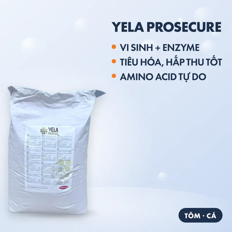 YELA PROSECURE 2