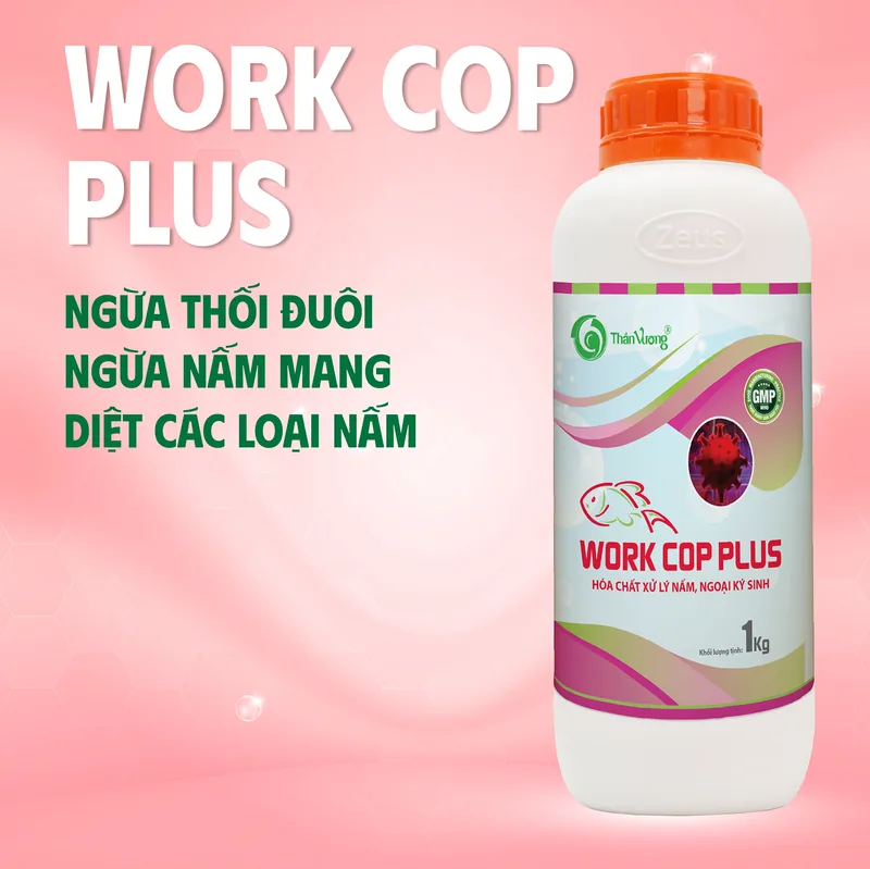 WORK COP Plus