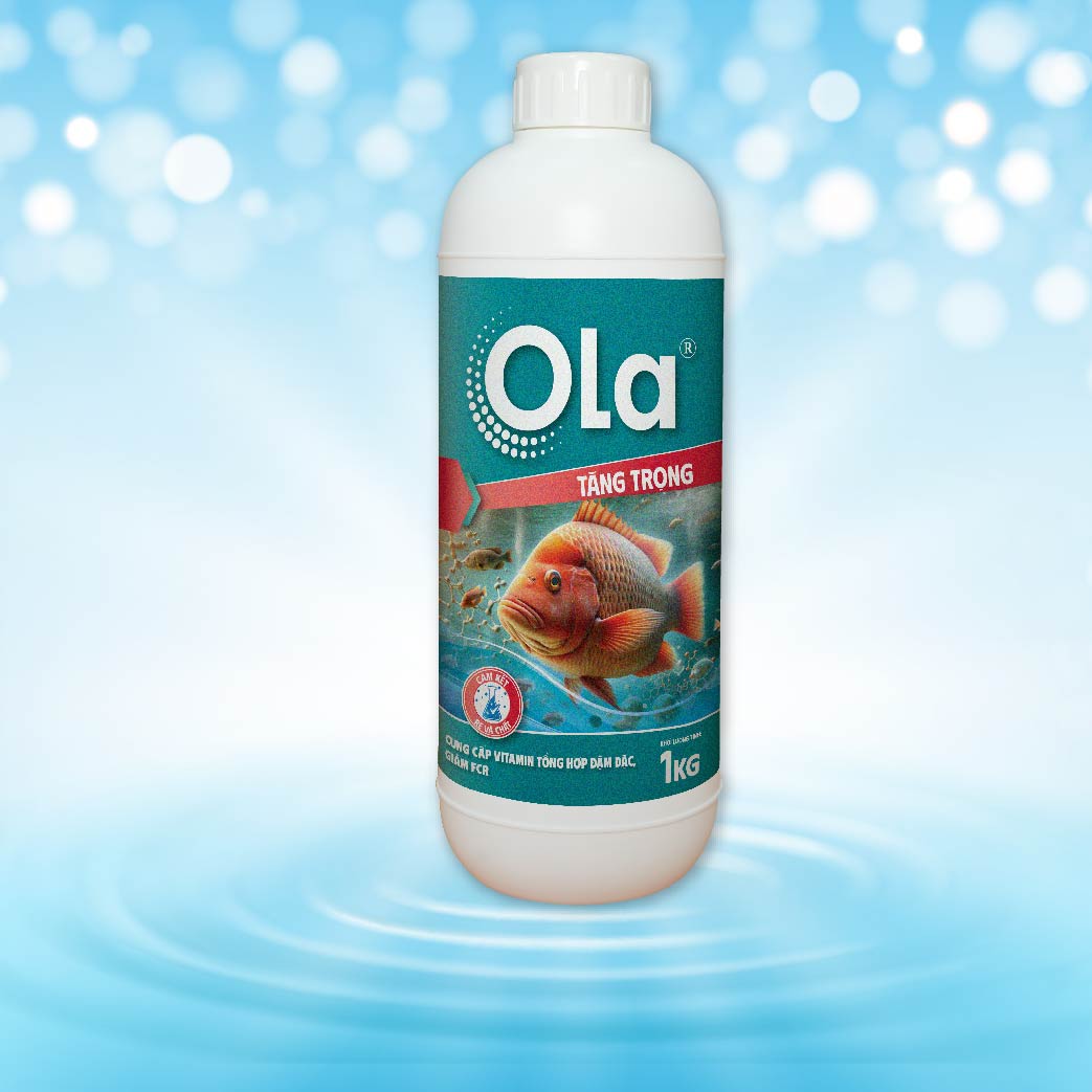 OLA Tăng Trọng 1
