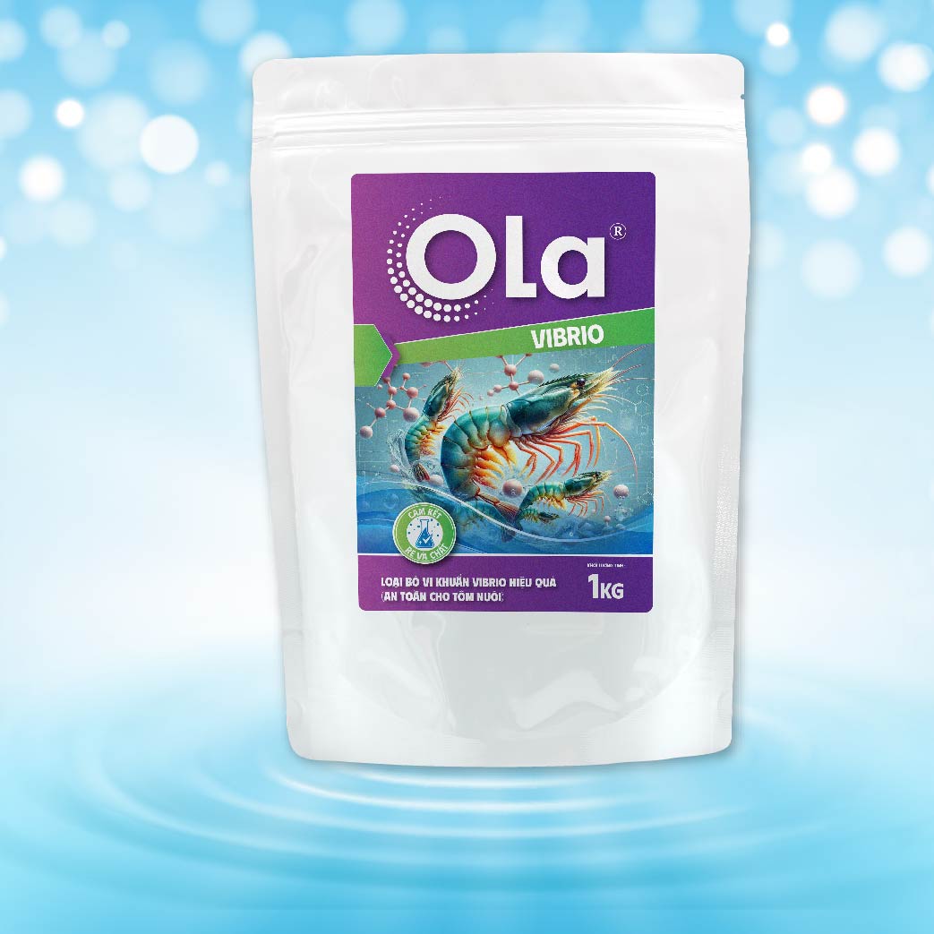 OLA VIBRIO 1
