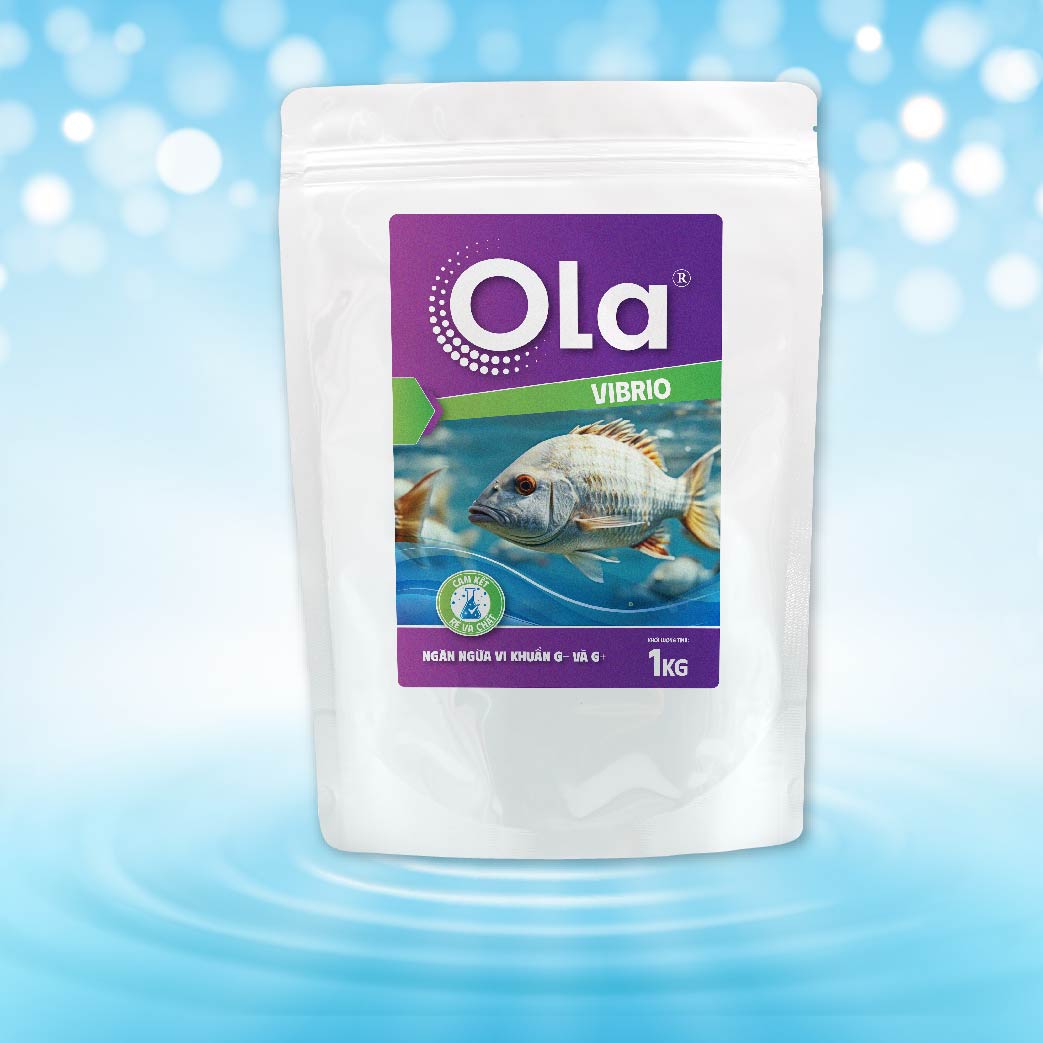 OLA VIBRIO 1