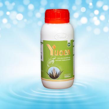 YUCCA