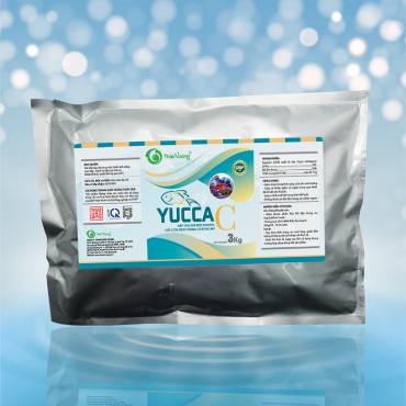 YUCCA C
