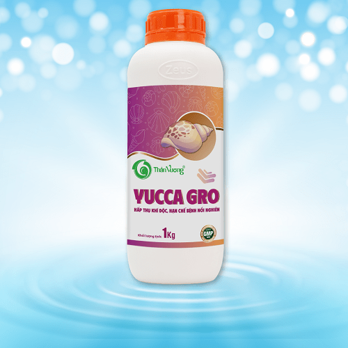 ỐC - YUCCA GRO